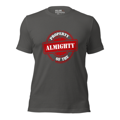 ADULT T-Shirt - PROPERTY OF THE ALMIGHTY - White/White/Red