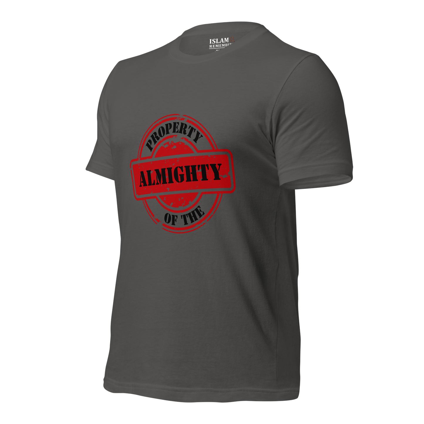 ADULT T-Shirt - PROPERTY OF THE ALMIGHTY - Black/Black/Red