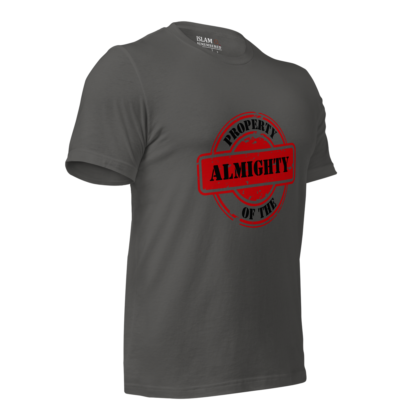 ADULT T-Shirt - PROPERTY OF THE ALMIGHTY - Black/Black/Red