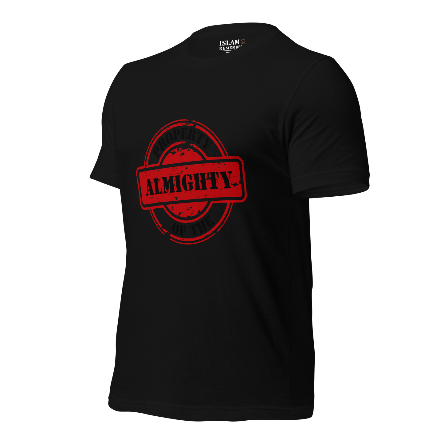 ADULT T-Shirt - PROPERTY OF THE ALMIGHTY - Black/Black/Red