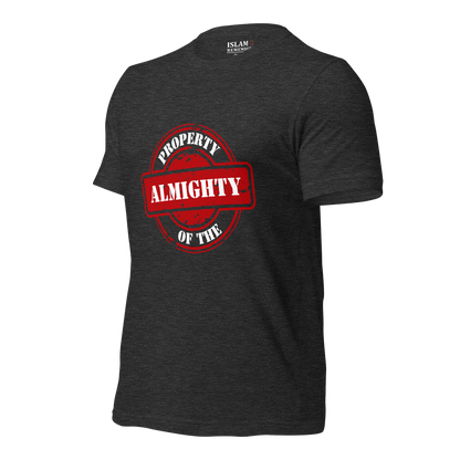 ADULT T-Shirt - PROPERTY OF THE ALMIGHTY - White/White/Red