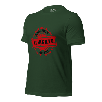 ADULT T-Shirt - PROPERTY OF THE ALMIGHTY - Black/Black/Red