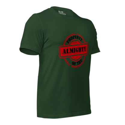 ADULT T-Shirt - PROPERTY OF THE ALMIGHTY - Black/Black/Red