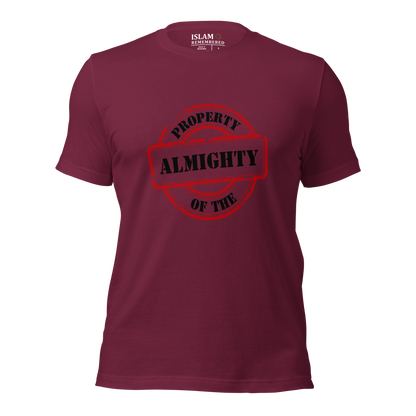 ADULT T-Shirt - PROPERTY OF THE ALMIGHTY - Black