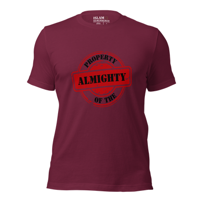 ADULT T-Shirt - PROPERTY OF THE ALMIGHTY - Black/Black/Red