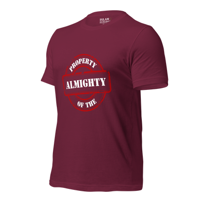 ADULT T-Shirt - PROPERTY OF THE ALMIGHTY - White