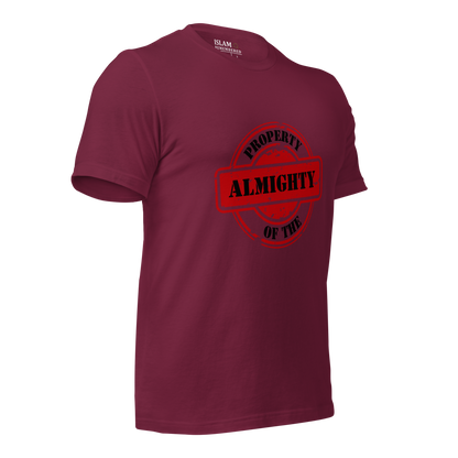 ADULT T-Shirt - PROPERTY OF THE ALMIGHTY - Black/Black/Red