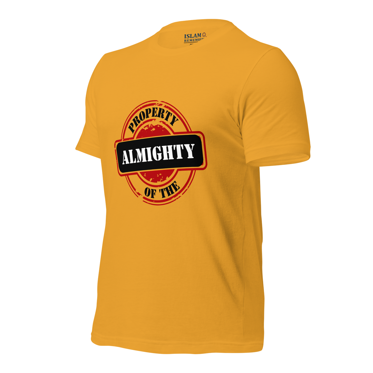 ADULT T-Shirt - PROPERTY OF THE ALMIGHTY - Black/White/Black