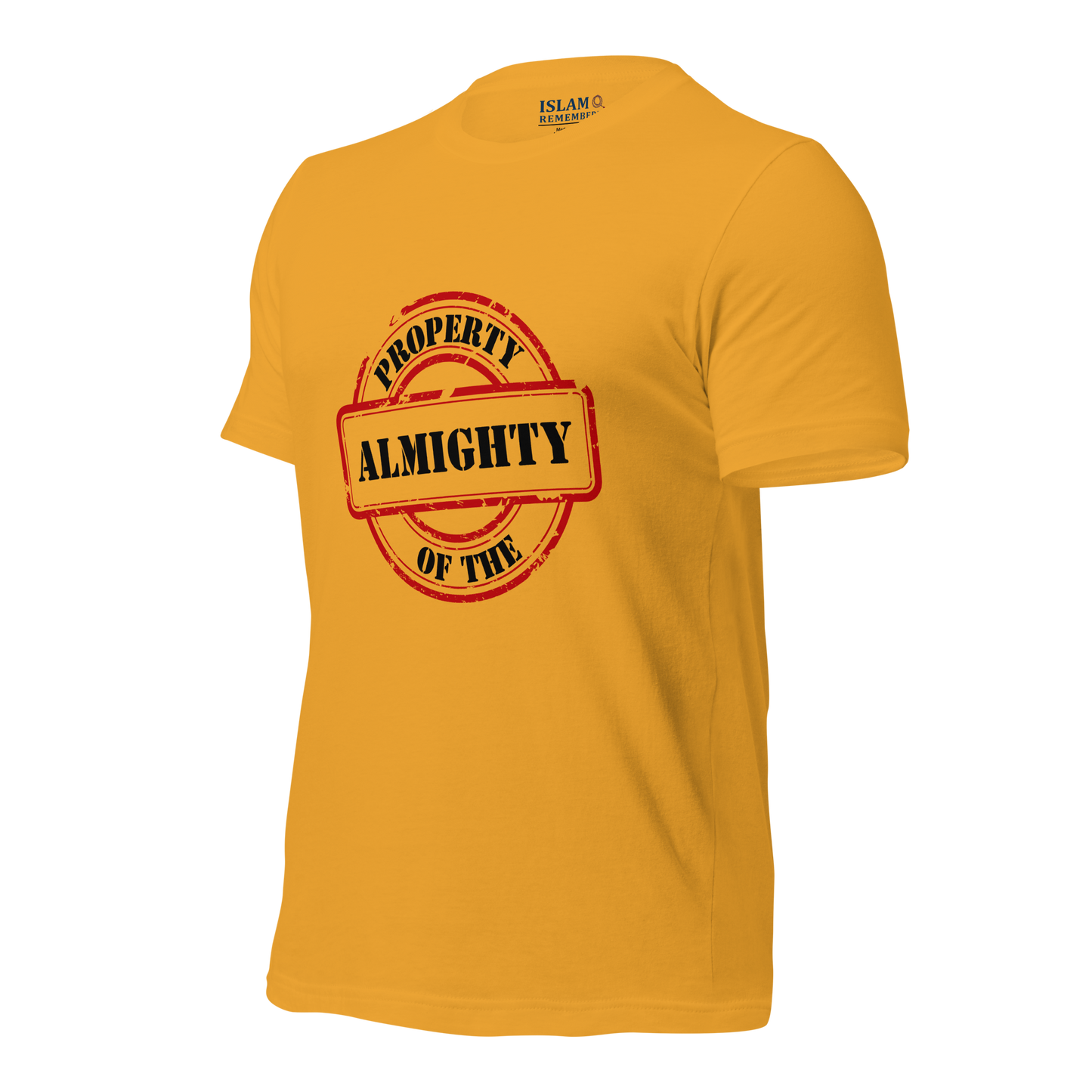 ADULT T-Shirt - PROPERTY OF THE ALMIGHTY - Black