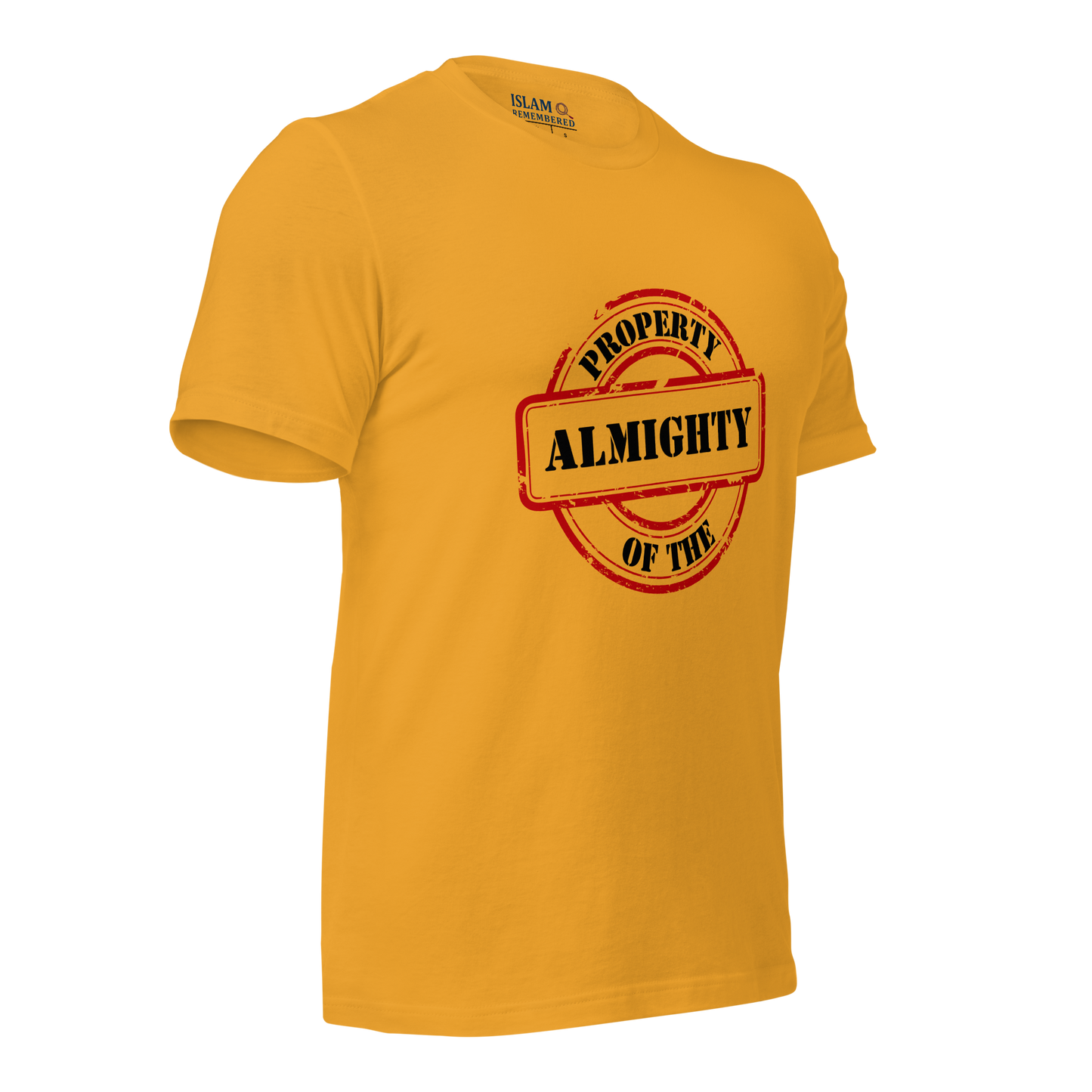 ADULT T-Shirt - PROPERTY OF THE ALMIGHTY - Black