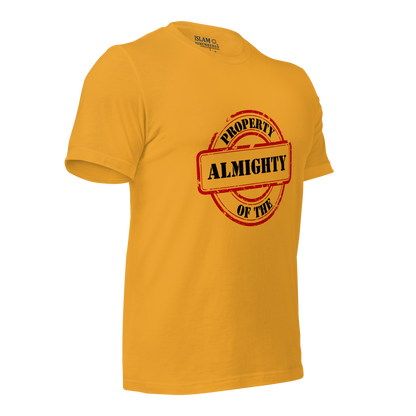 ADULT T-Shirt - PROPERTY OF THE ALMIGHTY - Black