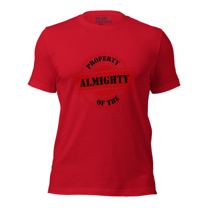 ADULT T-Shirt - PROPERTY OF THE ALMIGHTY - Black/Black/Red