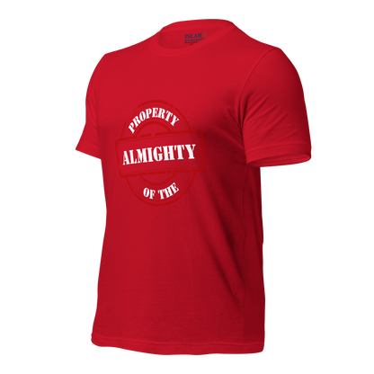 ADULT T-Shirt - PROPERTY OF THE ALMIGHTY - White