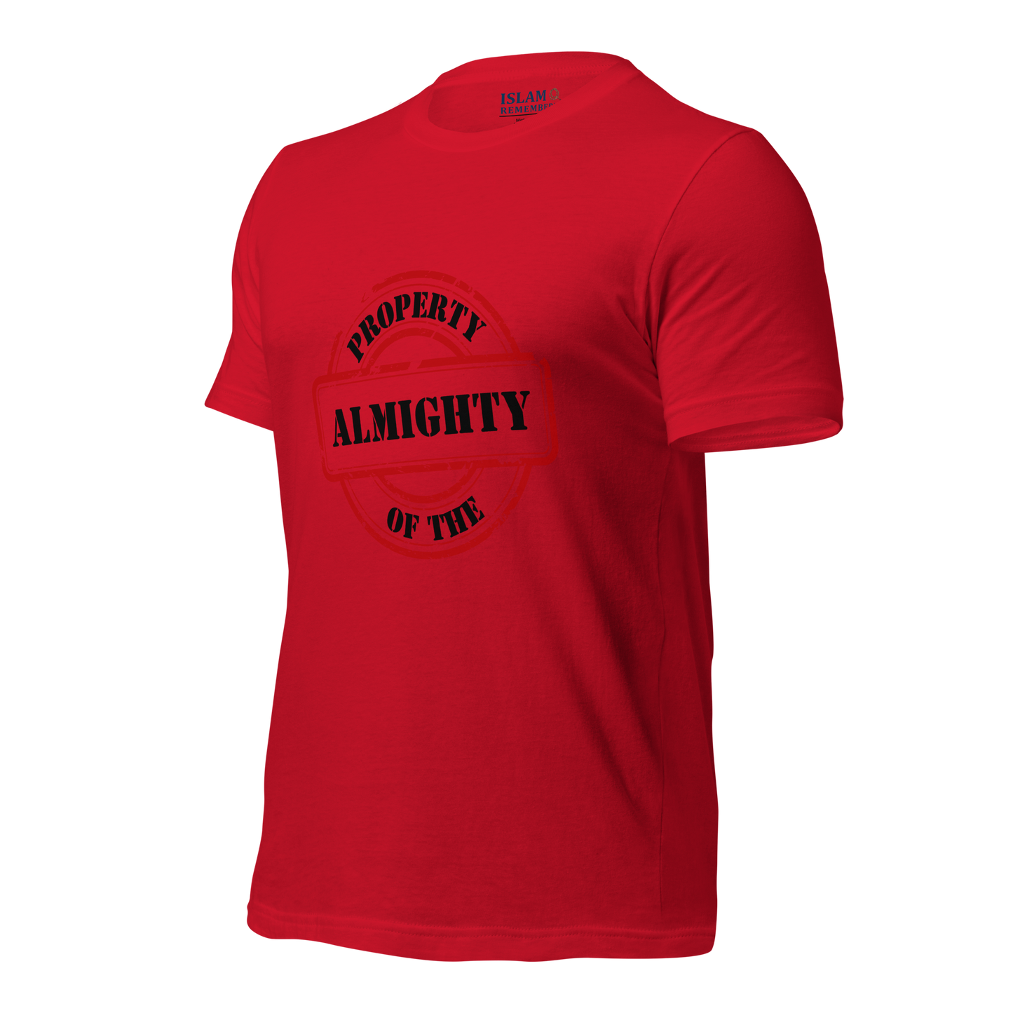 ADULT T-Shirt - PROPERTY OF THE ALMIGHTY - Black