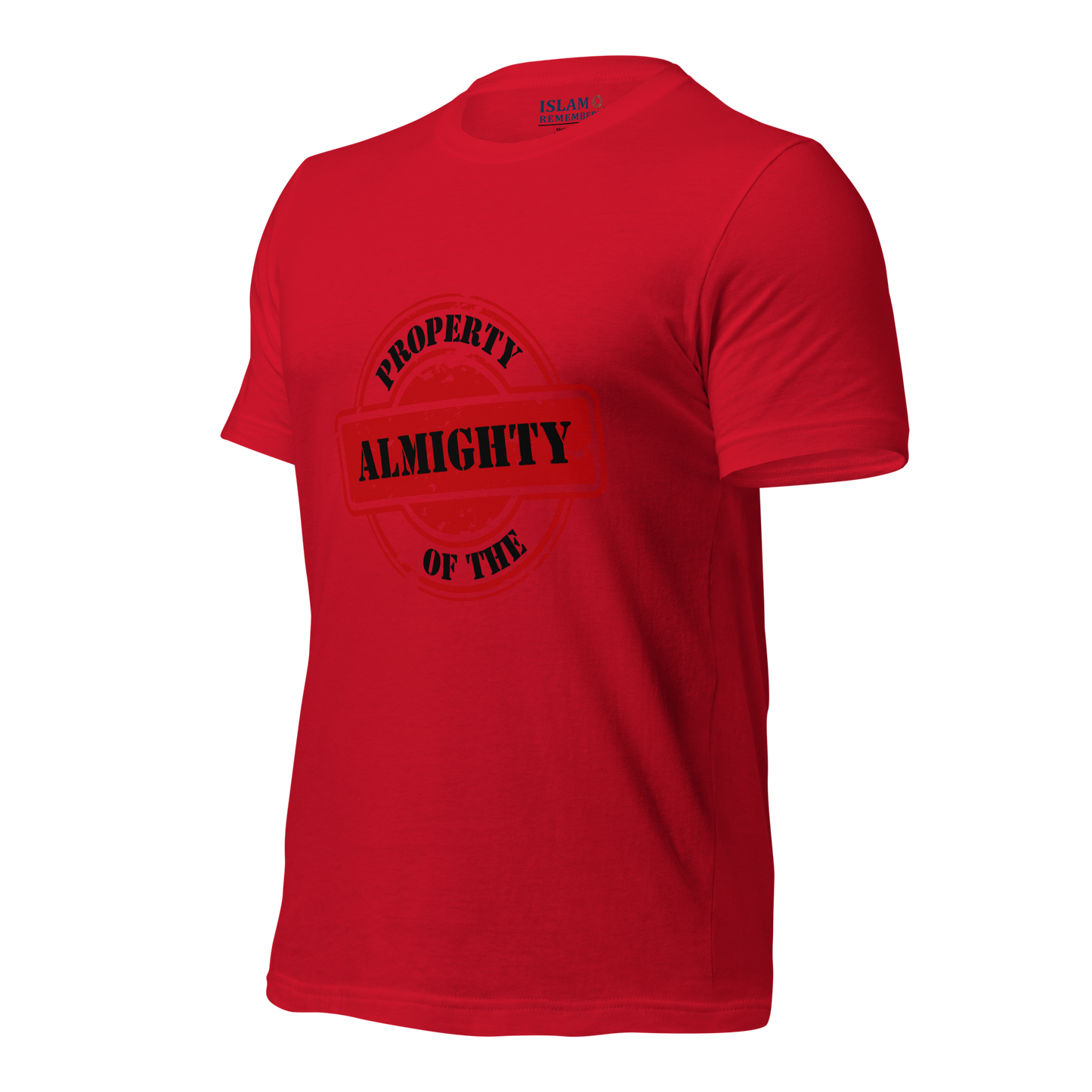 ADULT T-Shirt - PROPERTY OF THE ALMIGHTY - Black/Black/Red