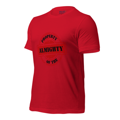 ADULT T-Shirt - PROPERTY OF THE ALMIGHTY - Black/Black/Red