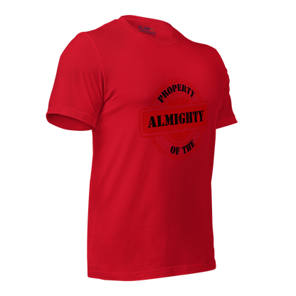 ADULT T-Shirt - PROPERTY OF THE ALMIGHTY - Black/Black/Red