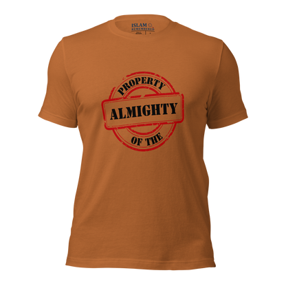 ADULT T-Shirt - PROPERTY OF THE ALMIGHTY - Black