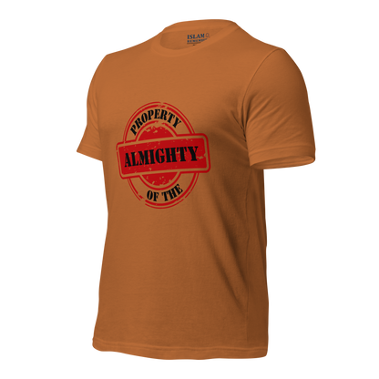 ADULT T-Shirt - PROPERTY OF THE ALMIGHTY - Black/Black/Red