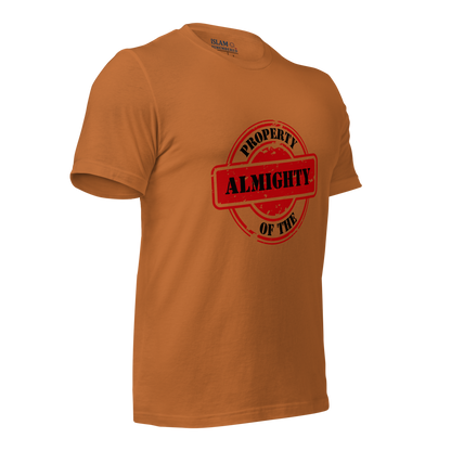 ADULT T-Shirt - PROPERTY OF THE ALMIGHTY - Black/Black/Red